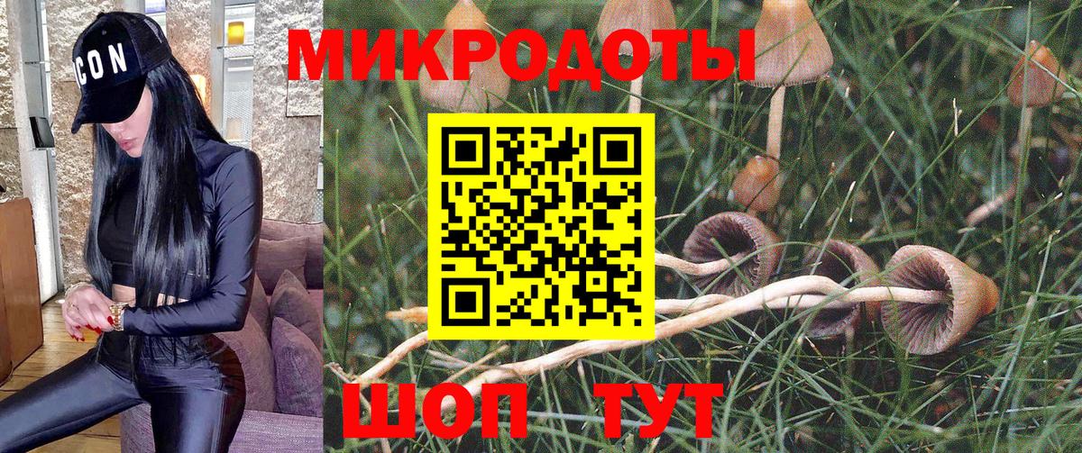 Электрогорск  Псилоцибиновые грибы GOLDEN TEACHER  Псилоцибиновые грибы GOLDEN TEACHER  Вход с VPN 