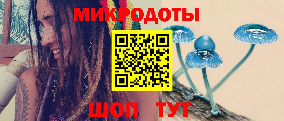 Галлюциногенные грибы MAGIC MUSHROOMS Электрогорск